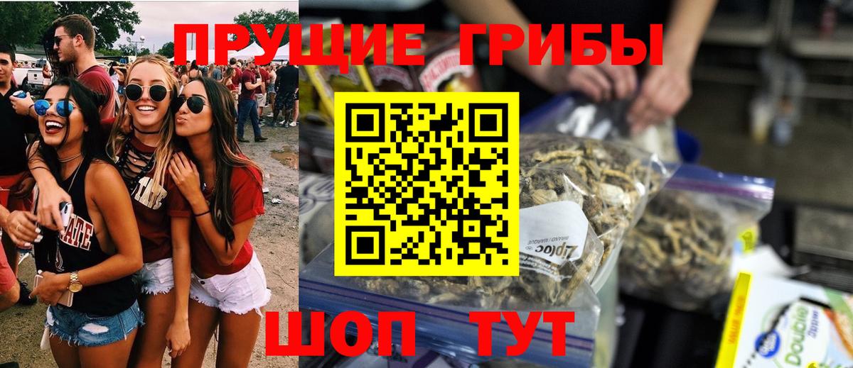 Галлюциногенные грибы прущие грибы Городец