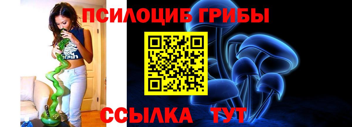 Городец  Псилоцибиновые грибы Psilocybe  Вход с VPN 